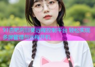 91杏吧向日葵远程控制平台 轻松实现多屏管理与远程开机